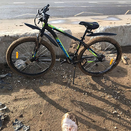 Прокат велосипедов Таллахасси