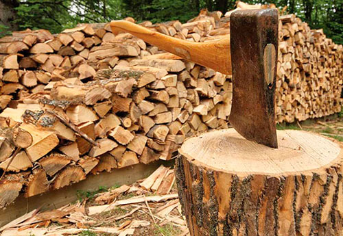 Купить дрова Камберленд-Р