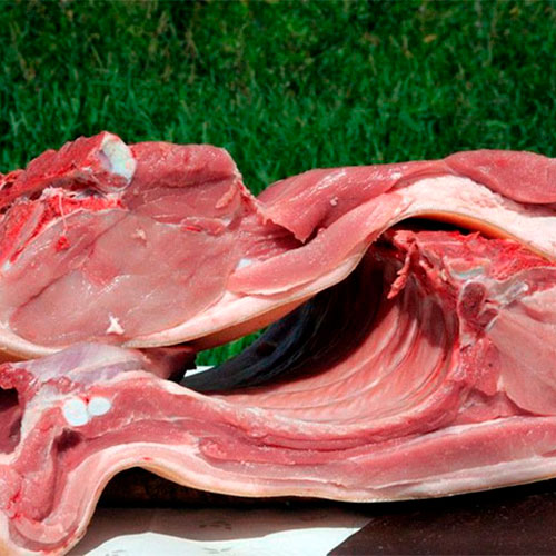 Мясо оптом Каунсил-Блафс