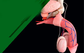 Сити класс 17 сентября 2025 — Демура