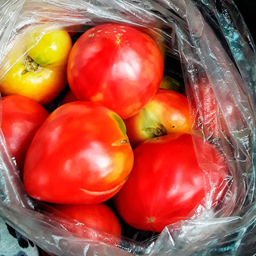 Где купить помидоры Батуми