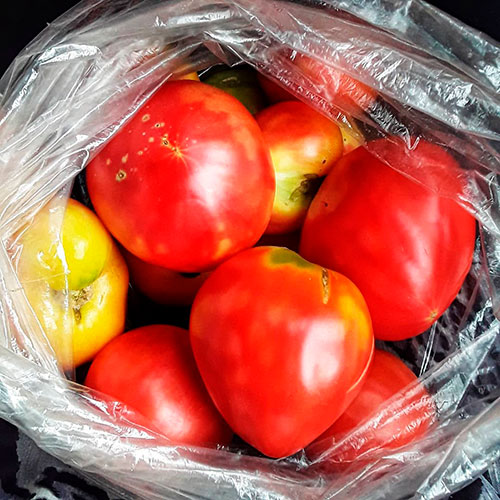 Где купить помидоры Циндао