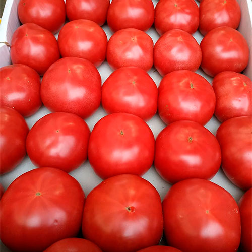 Где купить помидоры Ужгород