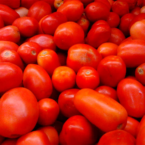 Где купить помидоры Халава