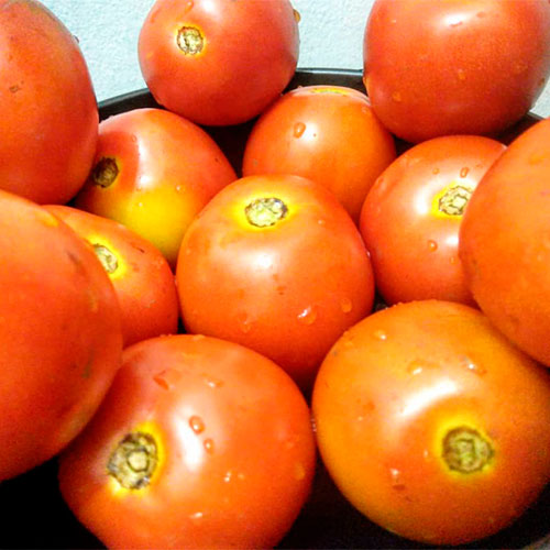 Где купить помидоры Хорн-Лейк