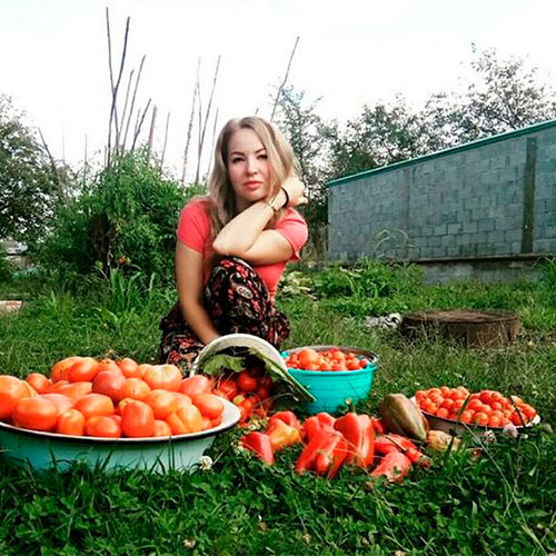 Где купить помидоры Краков