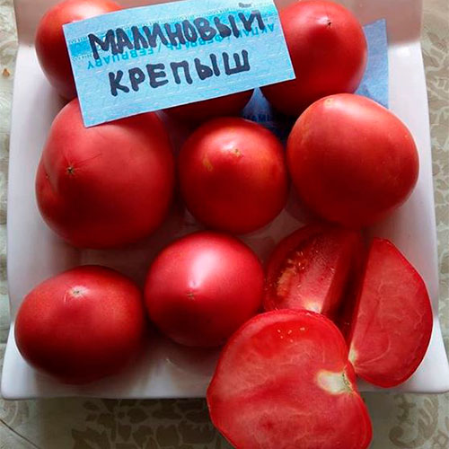 Где купить помидоры Ташкент